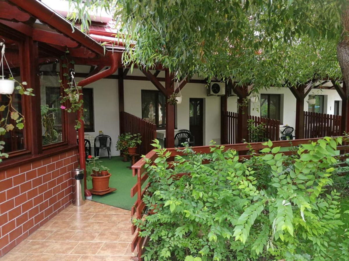 Pensiunea Casa Matei Ξενοδοχείο Berca Εξωτερικό φωτογραφία