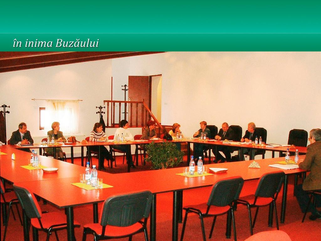 Pensiunea Casa Matei Ξενοδοχείο Berca Εξωτερικό φωτογραφία