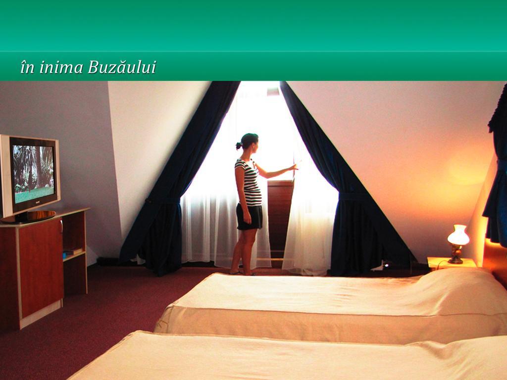 Pensiunea Casa Matei Ξενοδοχείο Berca Δωμάτιο φωτογραφία